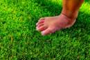 UK’s Royal Horticultural Society and Landscape Institute combine to advocate against fake grass