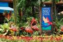 Singapore’s Jurong Bird Park to close in January 2023