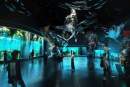 Resorts World Sentosa announces plans for SEA Aquarium and Universal Studios Singapore expansion