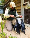International Zookeeper Day spotlights the important role of wildlife conservation